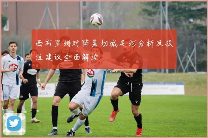 西布罗姆对阵莱切城足彩分析及投注建议全面解读